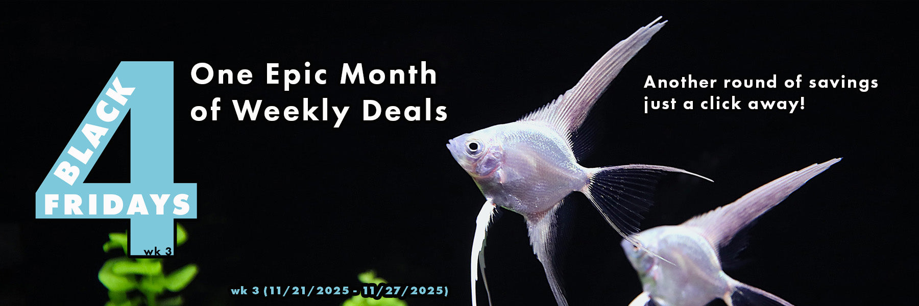 Black Friday 2025