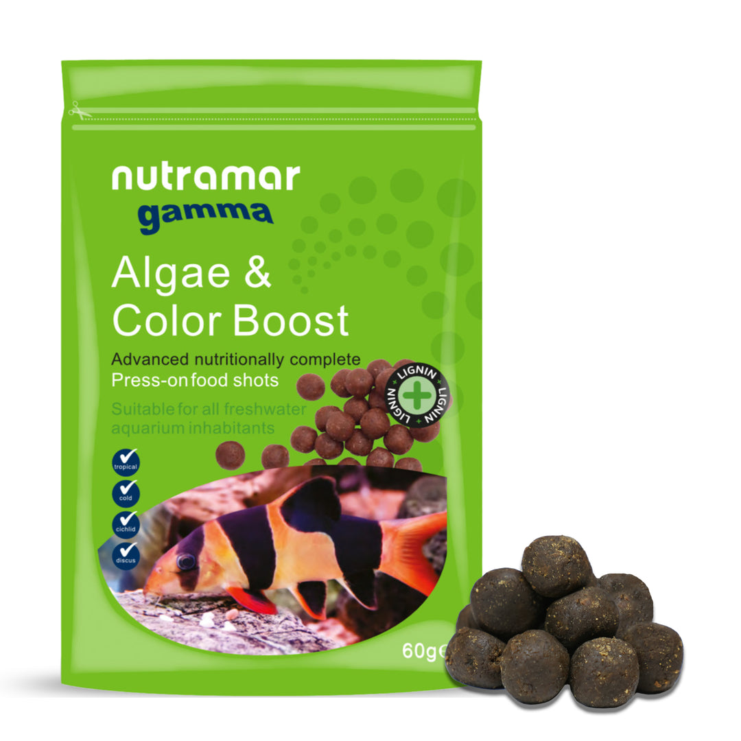 Nutramar Freshwater Algae & Color Boost Shots - Premium Food for Herbivorous Freshwater Fish 12mm / 60g