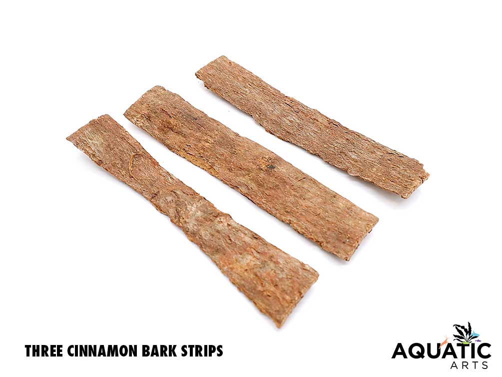 Aquatic Arts Cinnamon Bark Botanicals