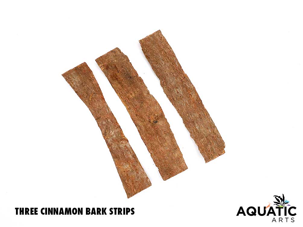 Aquatic Arts Cinnamon Bark Botanicals