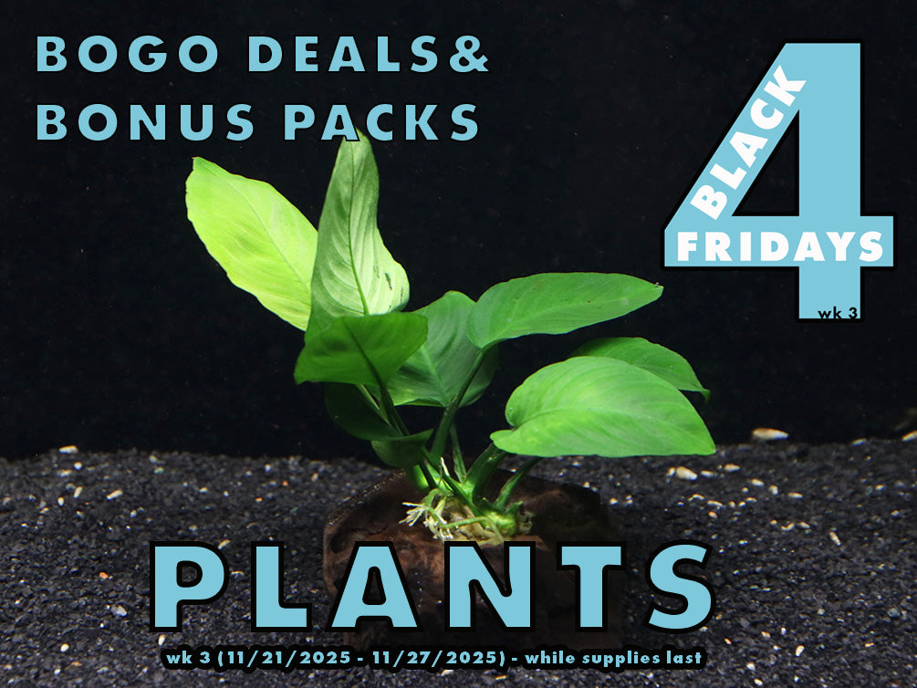 Aquatic Arts Plants BOGO Deals and Value Buys