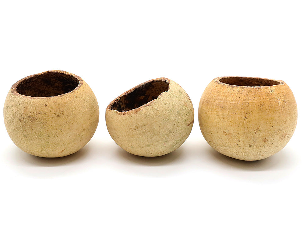 Aquatic Arts Beal Pods (Aegle marmelos) — Dried Botanicals