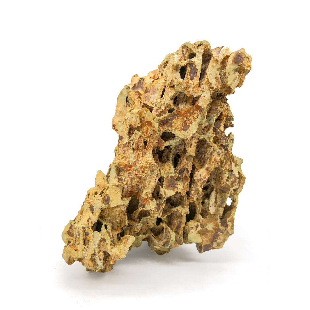 JBJ Aquarium - Desktop 10 Gallon Flat Panel with Lyra 10 Watt LED