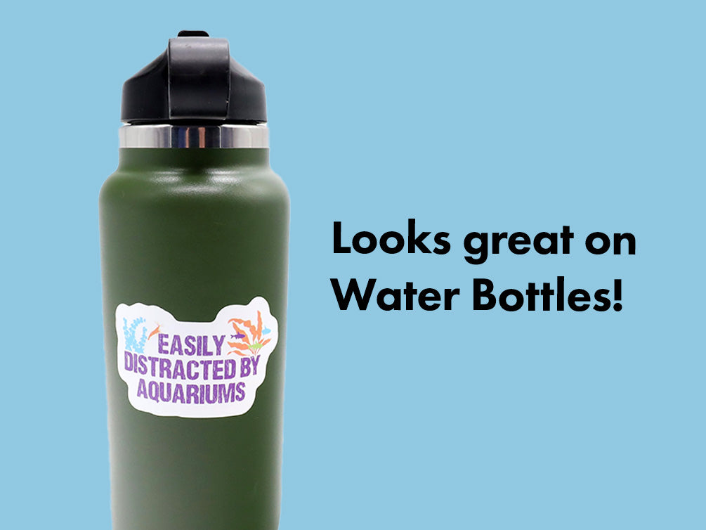 Easily Distracted By Aquariums – Aquatic Arts Exclusive Merch Collection