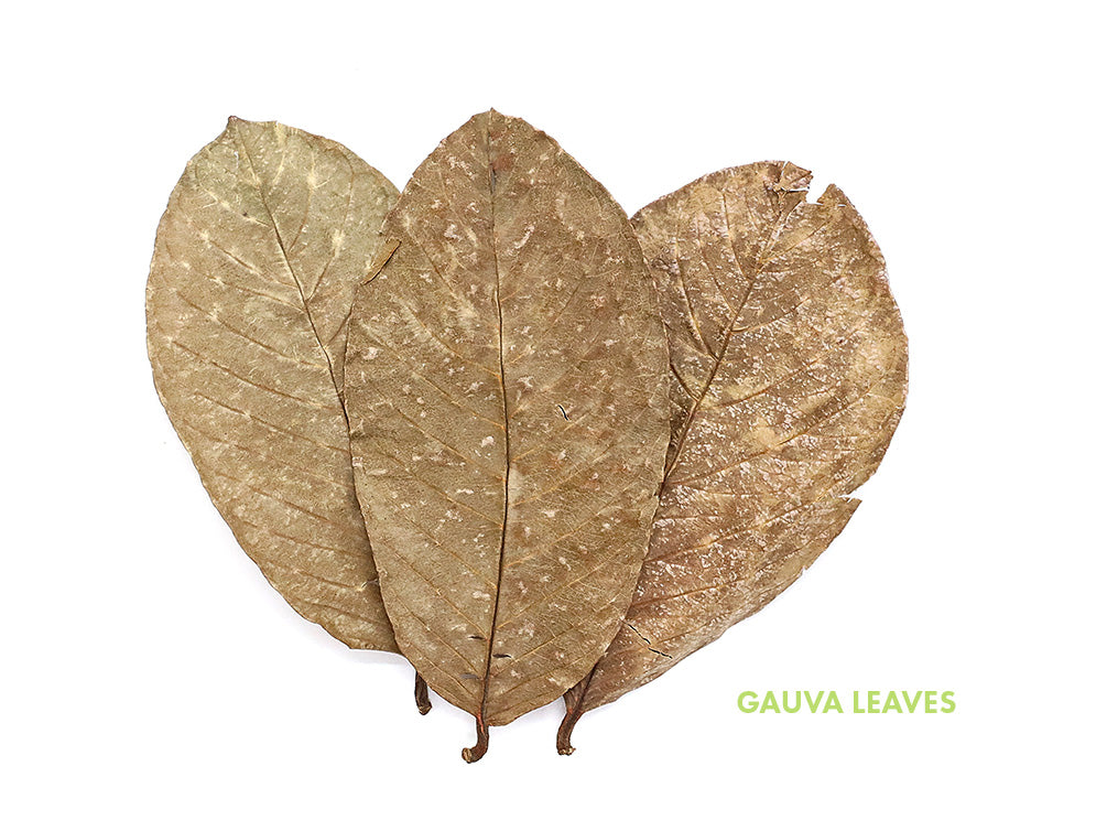 Aquatic Arts Mixed Fruit Leaf Botanical Pack (Mango, Guava, Banana, Jackfruit) - Dried Botanicals