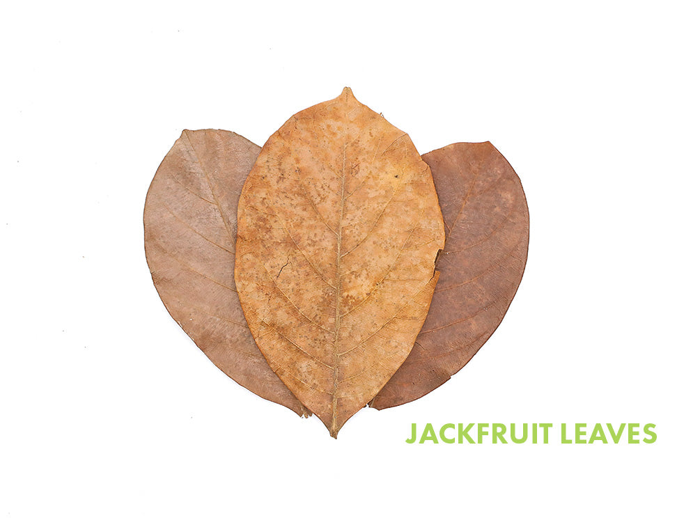 Aquatic Arts Mixed Fruit Leaf Botanical Pack (Mango, Guava, Banana, Jackfruit) - Dried Botanicals