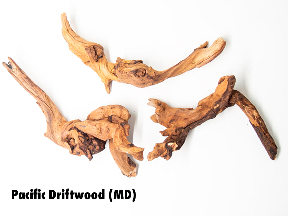 Pacific Driftwood (Dry)