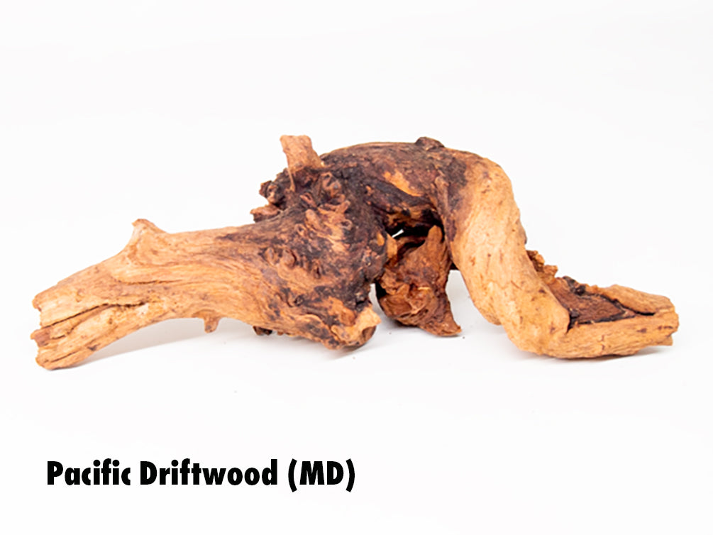 Pacific Driftwood (Dry)