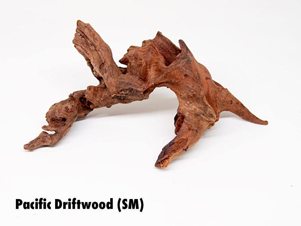 Pacific Driftwood (Dry)