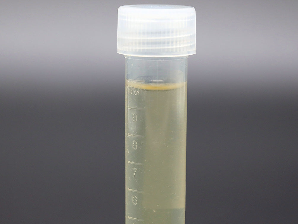 Vinegar Eels Starter Culture – Live Food