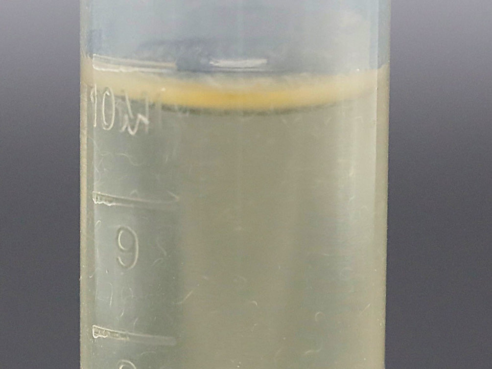 Vinegar Eels Starter Culture – Live Food