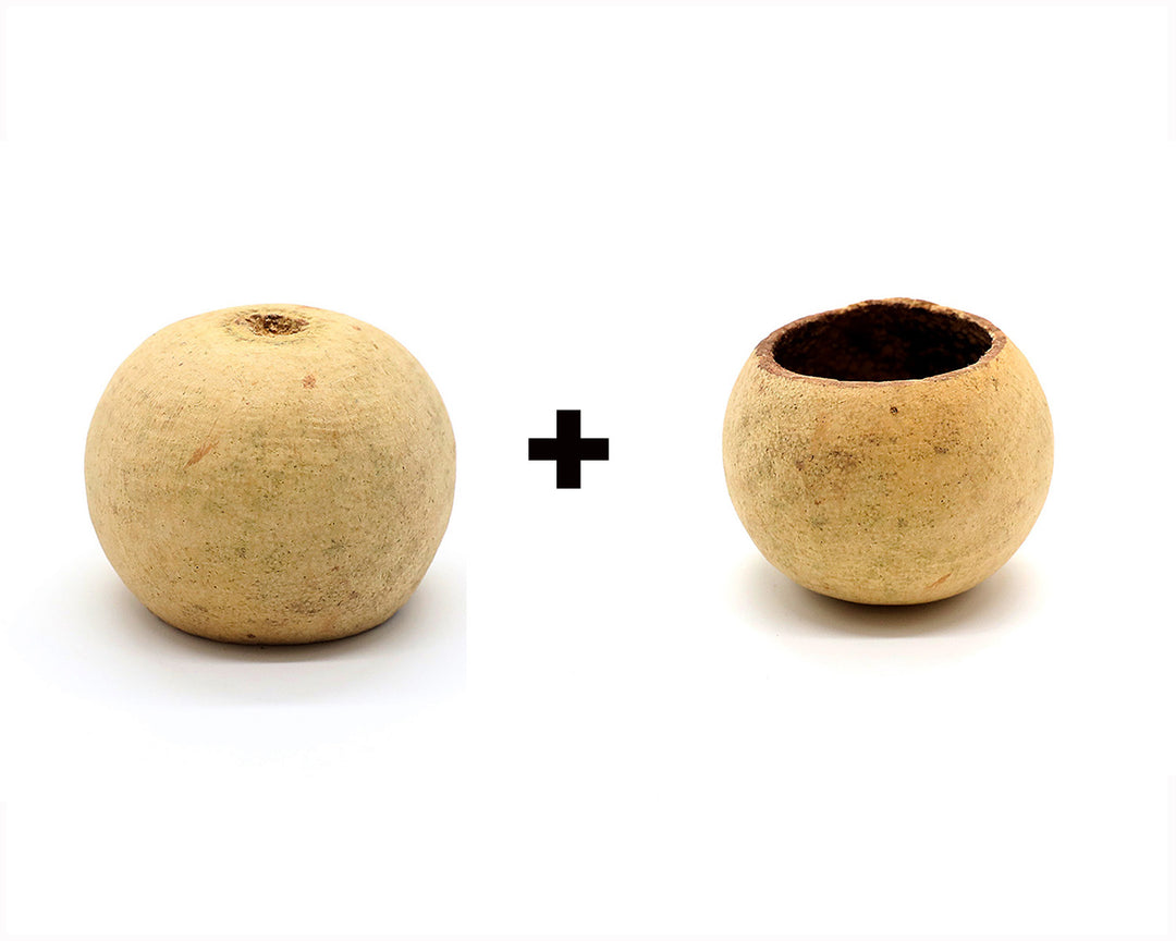 Aquatic Arts Supplies BOGO Deals