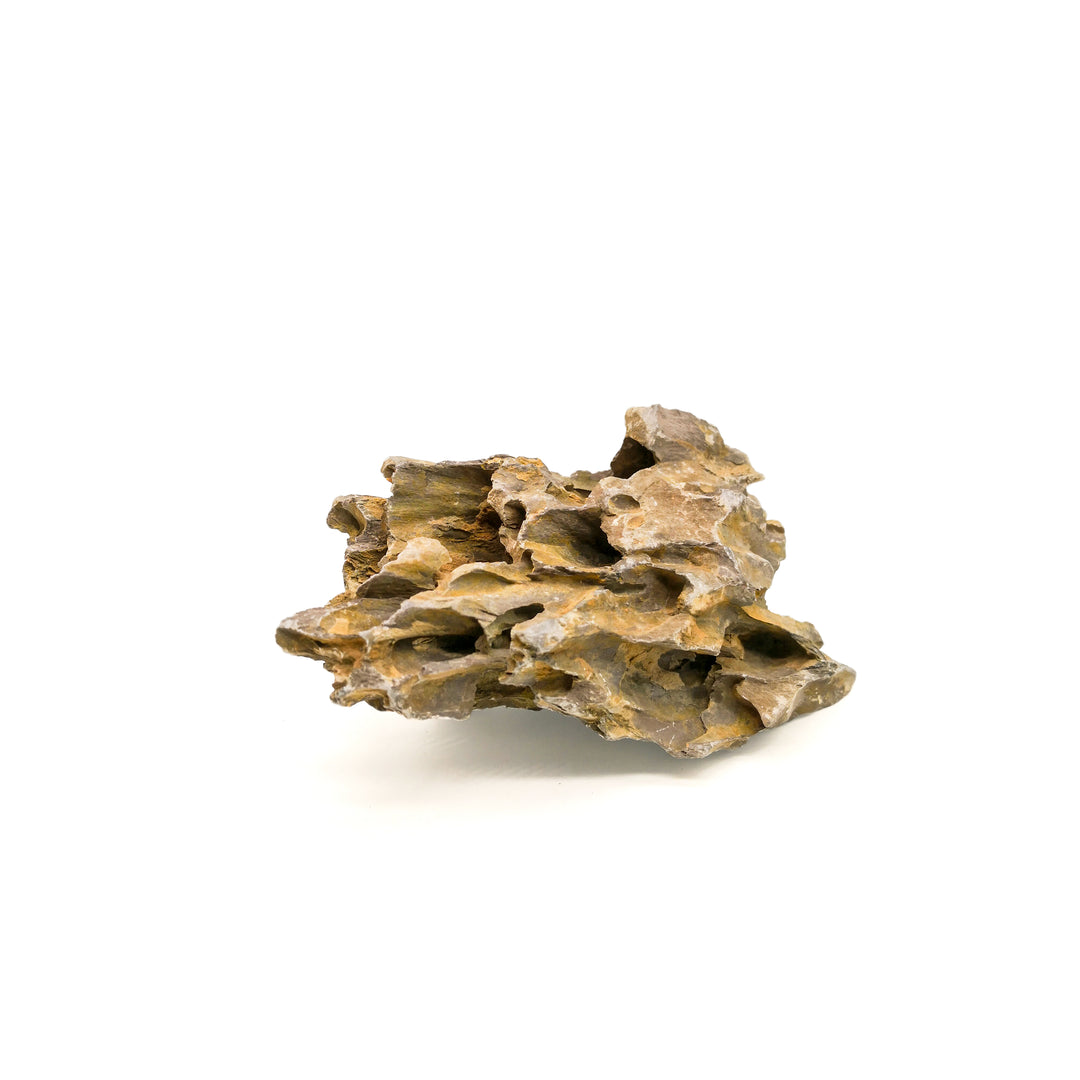 JBJ Aquarium - Desktop 10 Gallon Flat Panel with Lyra 10 Watt LED