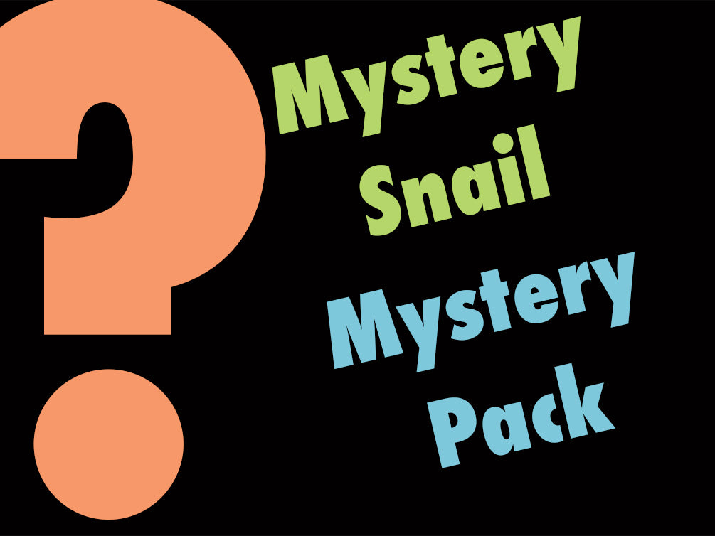 Mystery Snail Mystery Pack