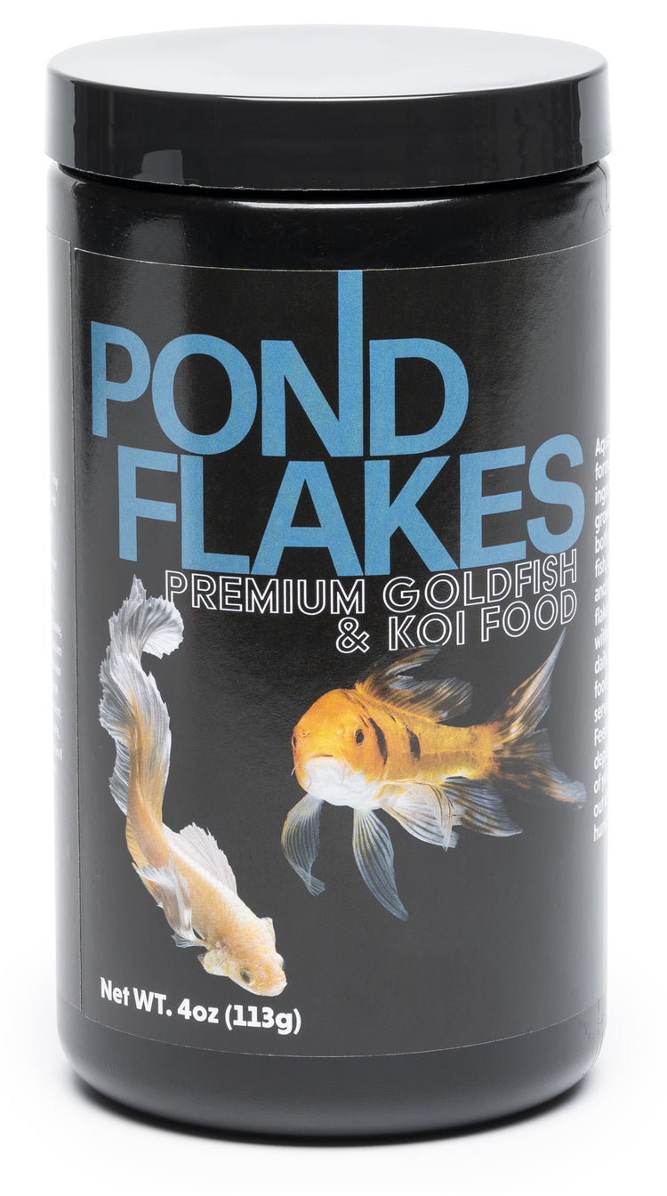 ornamental fish food flakes 