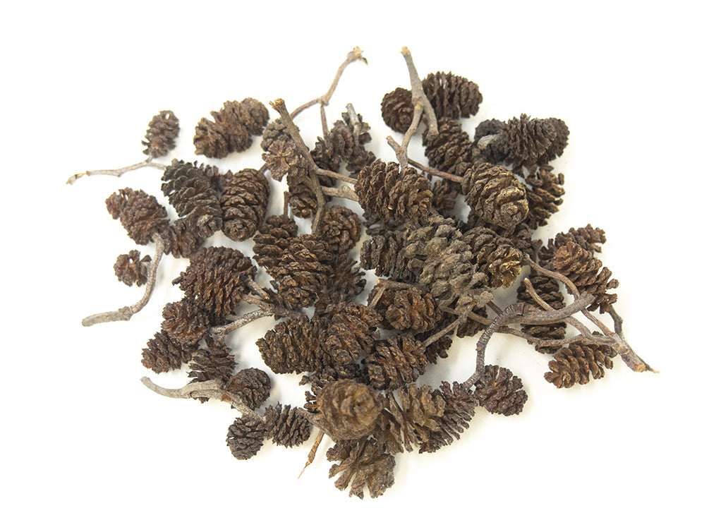 alder cones for sulawesi shrimp 