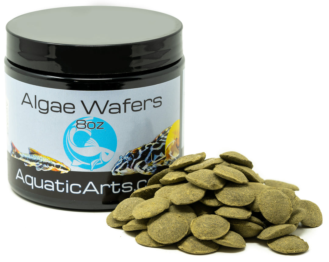 algae wafers for goldfish 