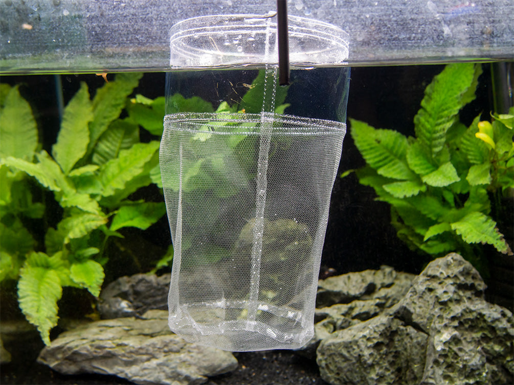 Deluxe Handmade In-Tank Breeder Net