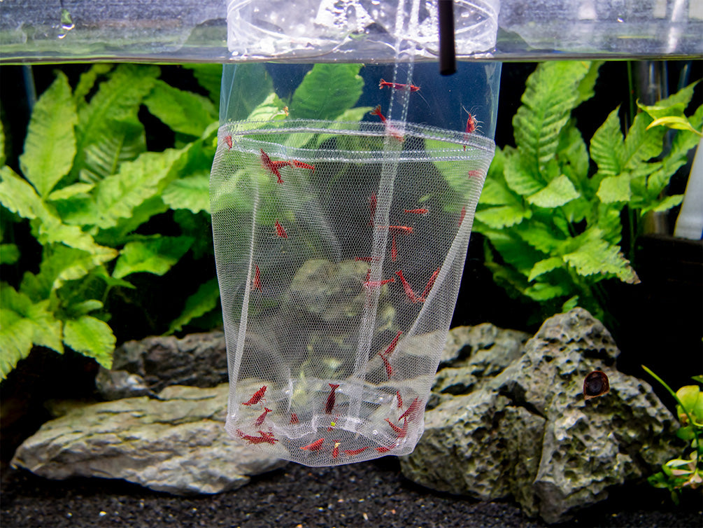 breeding net for fish Container Underwater Treasures | Net Breeder