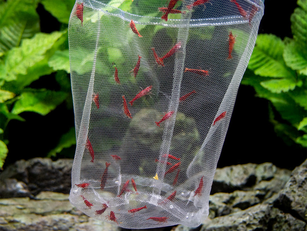 aquarium fish net breeder Deluxe Handmade In-Tank Breeder Net