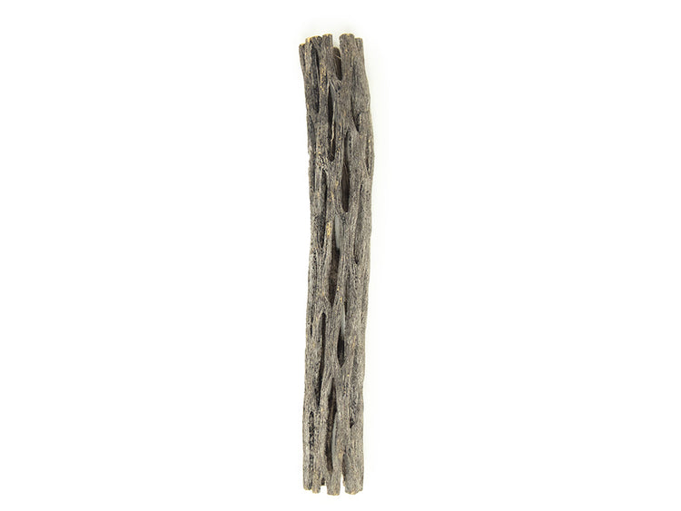 cholla wood for shrimp 