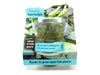 Christmas Moss AKA Xmas Moss (Vesicularia montagnei, FKA V. dubyna) Tissue Culture