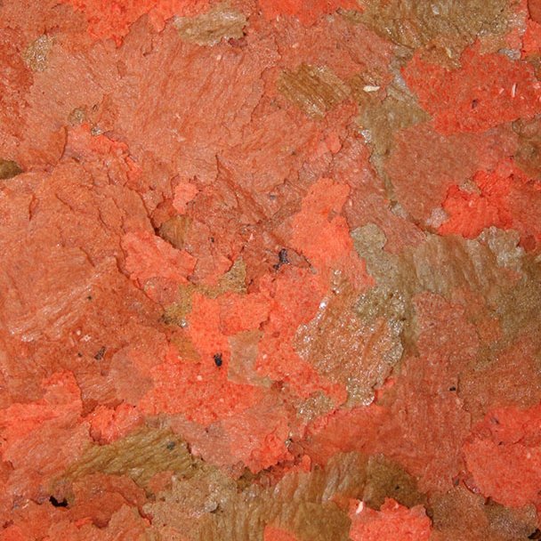 Omega One Cichlid Flakes Food (Various Sizes)