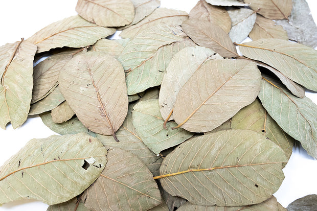 dried guava leaves benefits 