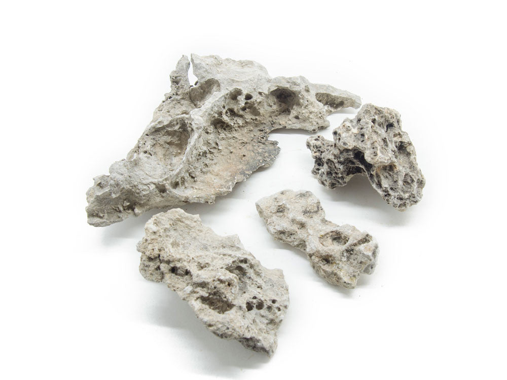 NATURAL Lace Rock - Aquarium / Terrarium / Bonsai Stone