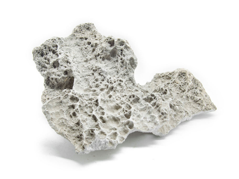 NATURAL Lace Rock - Aquarium / Terrarium / Bonsai Stone