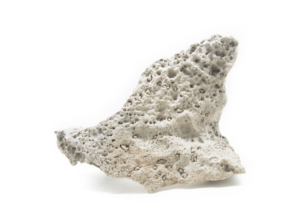 NATURAL Lace Rock - Aquarium / Terrarium / Bonsai Stone