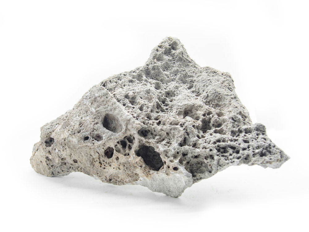 NATURAL Lace Rock - Aquarium / Terrarium / Bonsai Stone