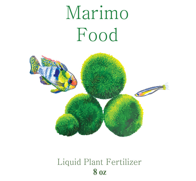 marimo moss ball plant food