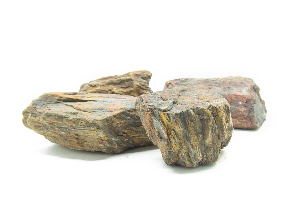 NATURAL Polished Petrified Wood - Aquarium / Terrarium / Bonsai Stone