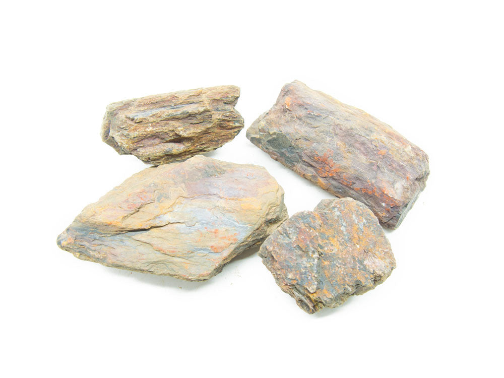 NATURAL Polished Petrified Wood - Aquarium / Terrarium / Bonsai Stone