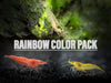 Dwarf Shrimp Rainbow Combo Pack
