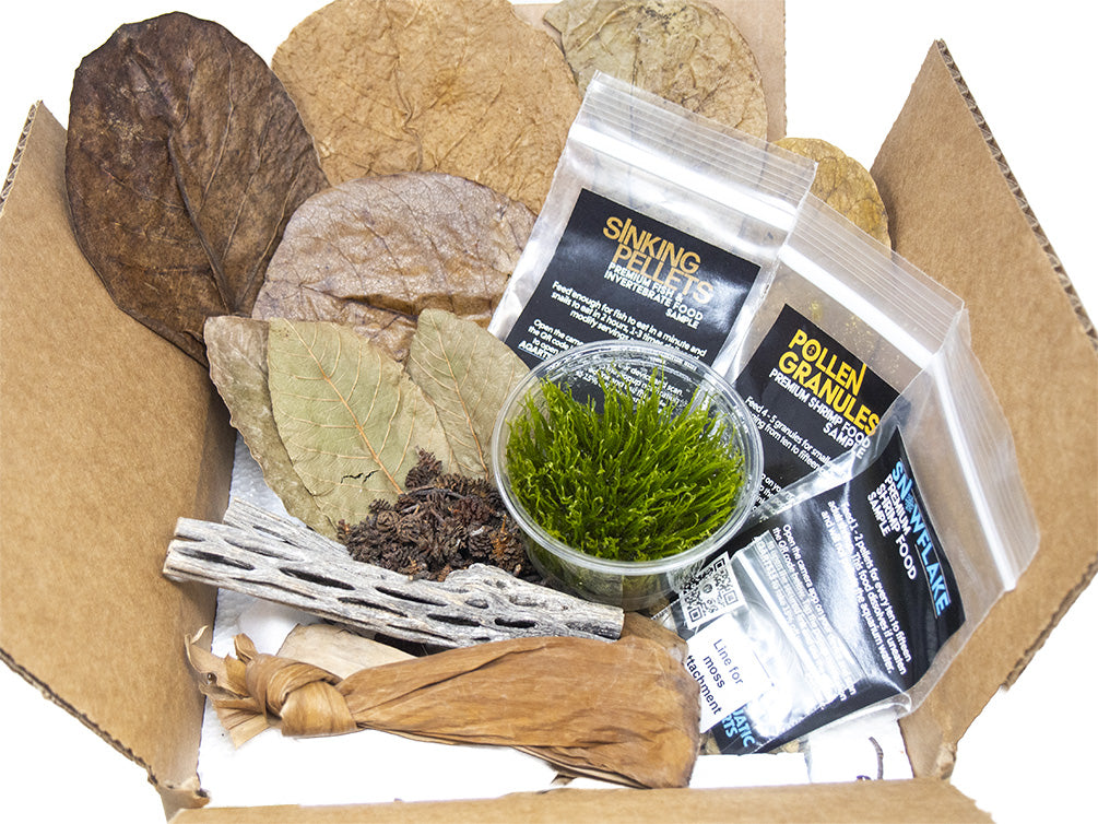 Bloody Mary Shrimp Breeder Combo Box