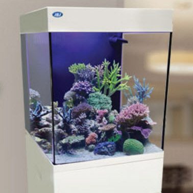 15 gallon white aquarium 