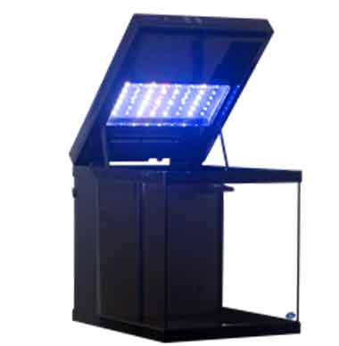 15 gallon aquarium light in tank 