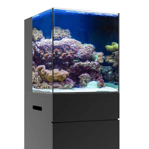 JBJ 3 Gallon Cubey Desktop Aquarium - White