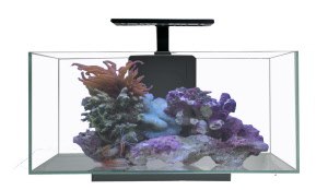 JBJ 3 Gallon Cubey Desktop Aquarium - White